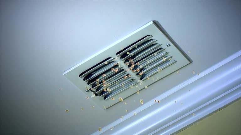 Best Ductwork Cleaning Services  in Jones Creek, TX